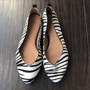 Ugg Zebra Print Flat